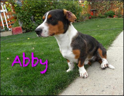 Abby/Referral