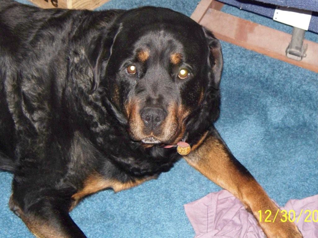 Blaze Oct-2008