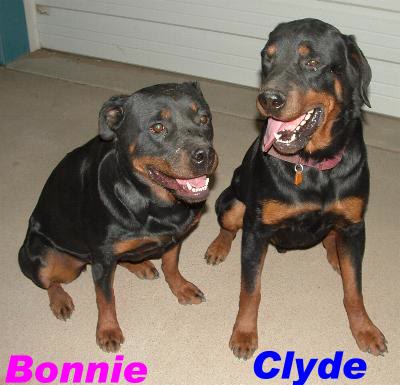 Bonnie and Clyde