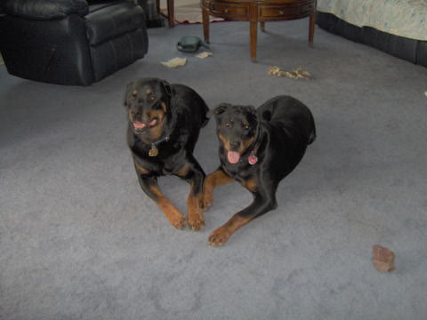 Butch & Gussie Butch & Gussie