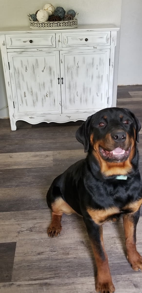Caesar