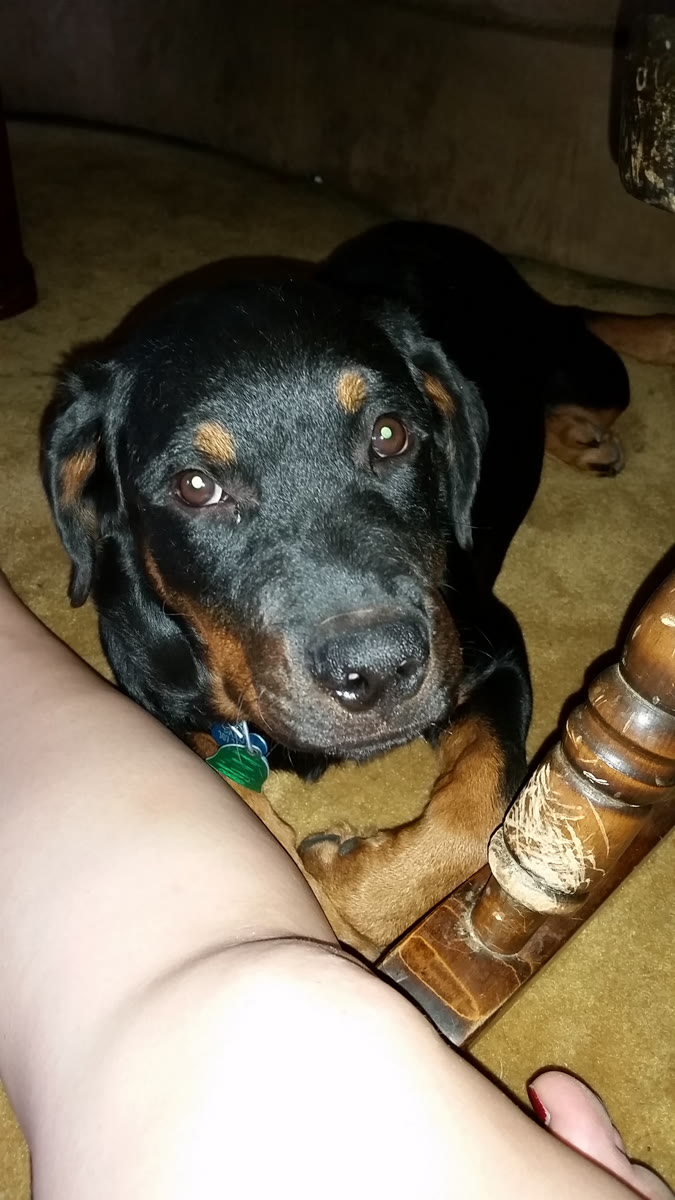 Dakota