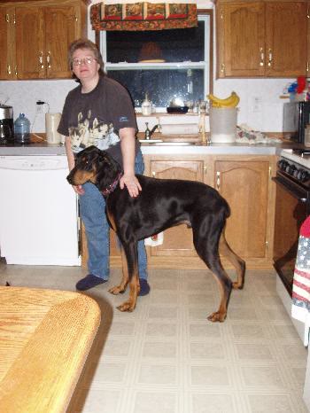 Diesel/Dobie