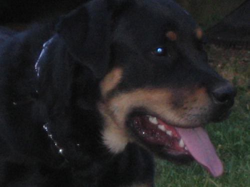 Farley