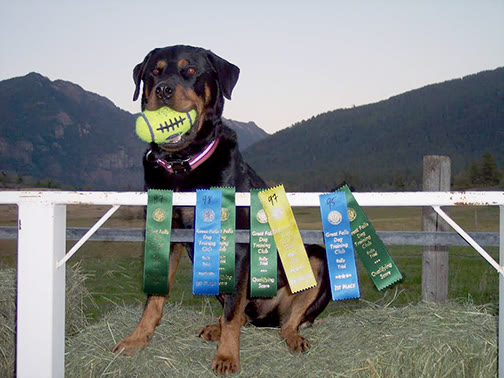 Gunny 2nd win