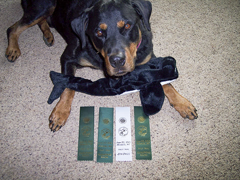 Gunny Ribbons