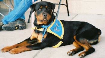 Jake