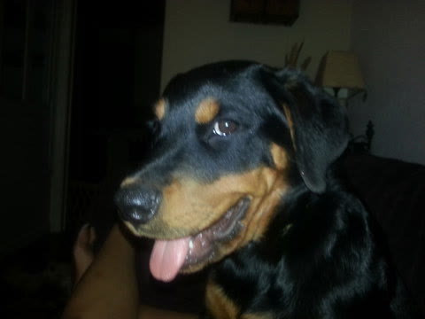 Kaia