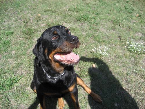 Max