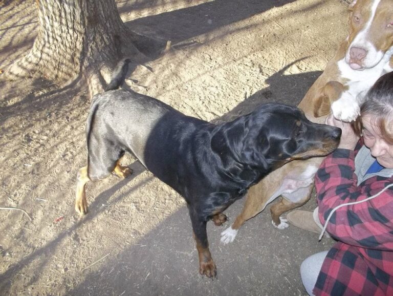 Pup/referral
