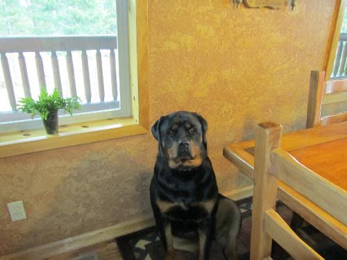 Remington/Referral