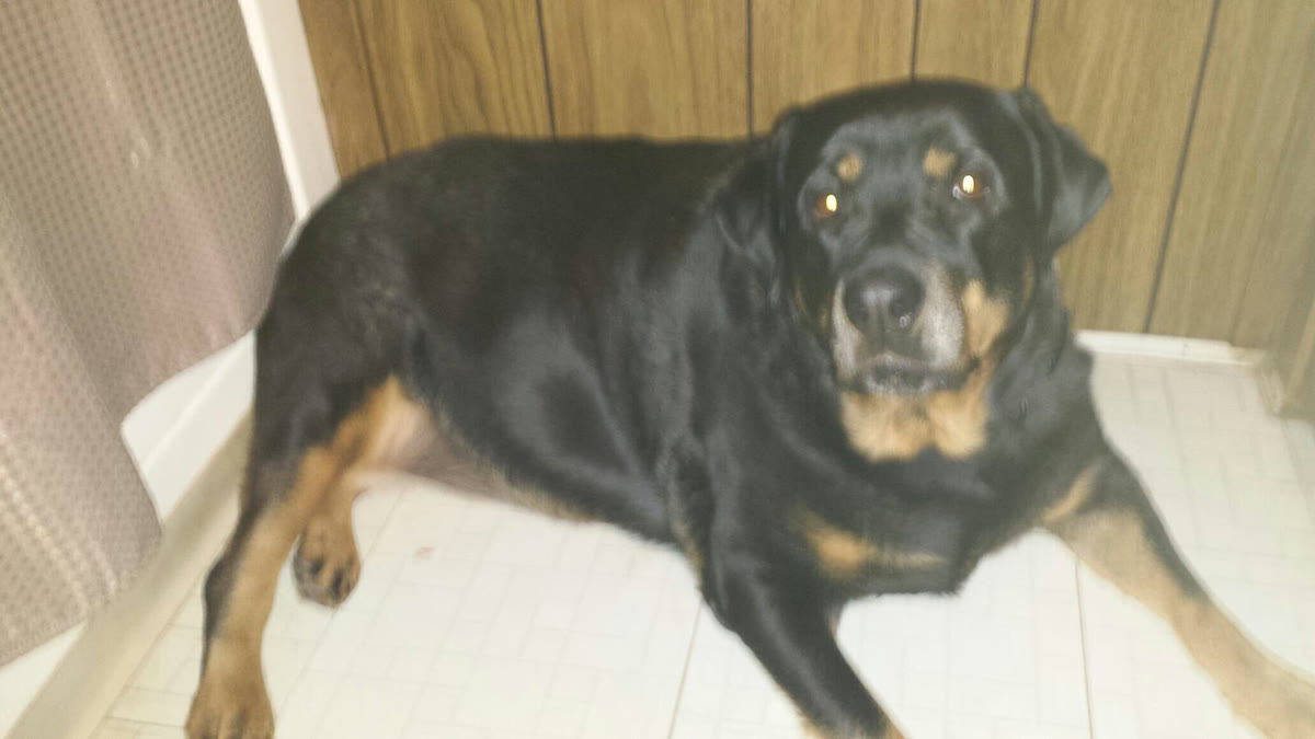 Roxy