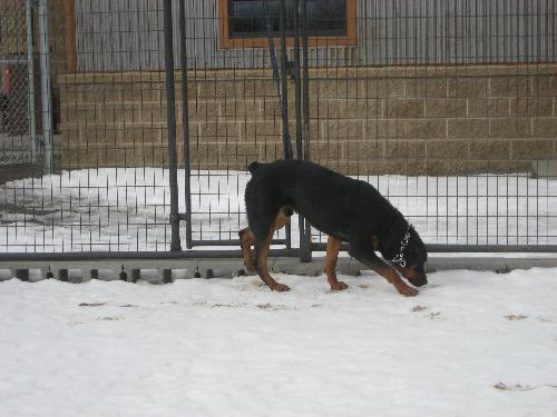Zeus